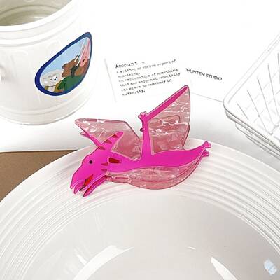 Dinosaur Acrylic Claw Hair Clips