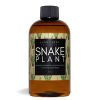 Lush Leaf Snake Plant Food Liquid Concentrate Fertilizer for all Varieties of Snake Plants