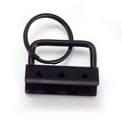 Electrophoresis Iron Split Key Rings