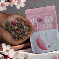 Yoni Herbal Steam & Seat Set Homeopathic Steam Treatment hygiene