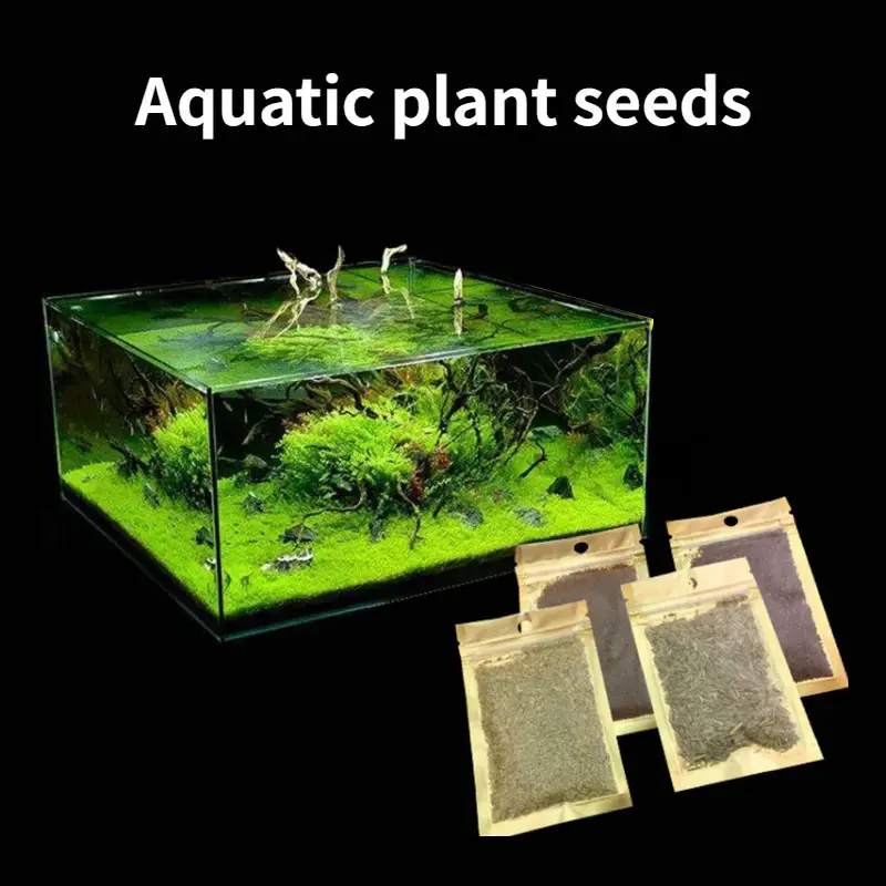 Fish tank Aquarium foreground Quick seed mini against leaf grass，aquatic plant，aquarium plant