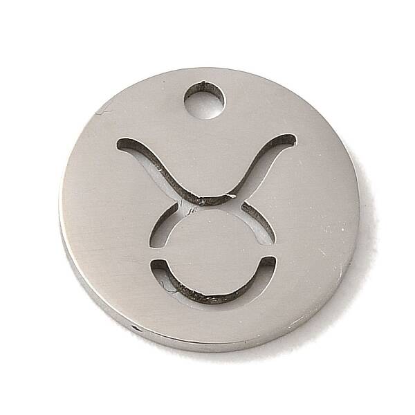 Non-Tarnish 201 Stainless Steel Charms