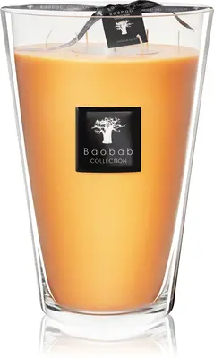 Baobab Collection All Seasons Zanzibar Spices scented candle 35 cm
