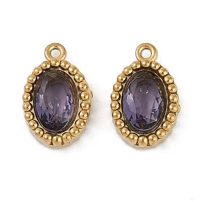 Ion Plating(IP) 304 Stainless Steel Micro Pave Cubic Zirconia Charms