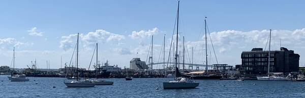 Ocean Drive Historic District: A Self Guided Tour of Newport