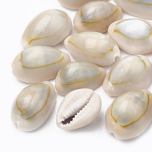Natural Cowrie Shell Beads