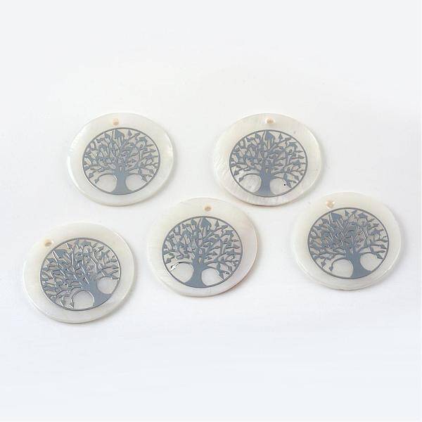 Sea Shell Pendants