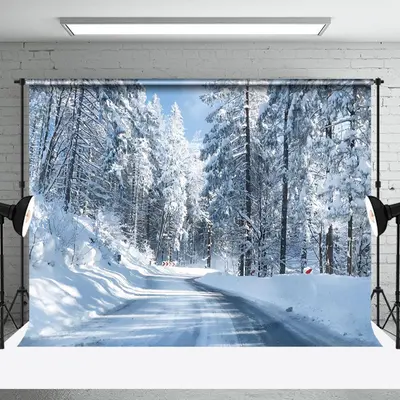 Aperturee Snowy Road Forest Winter Wonderful Scenery Backdrop - Aperturee