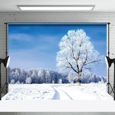 Blue Sky Snow Forest Winer Scenery Backdrop for Photo - Aperturee