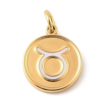 304 Stainless Steel Enamel Charms