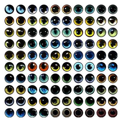 Craft Glass Doll Eyes