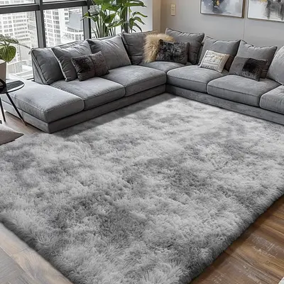 Shag Area Rugs for Bedroom Living Room,Ultra Soft Fluffy Area Rugs for Dorm, Indoor Carpet Nursery Rugs for Kids Room Home De...