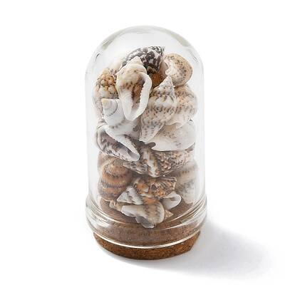 Glass Dome Bottle Display Decorations