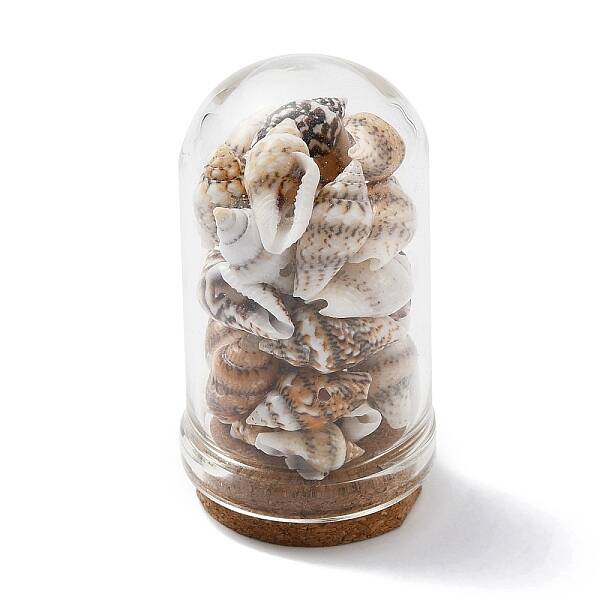 Glass Dome Bottle Display Decorations