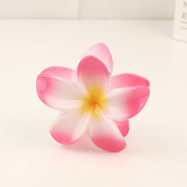 Plastic Claw Hair Clip