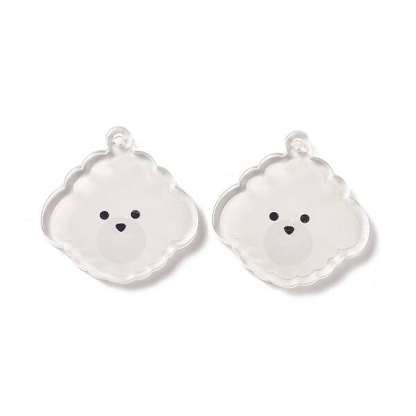 Transparent Acrylic Pendants