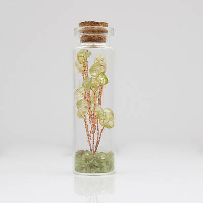 Glass Wishing Bottle Decorations