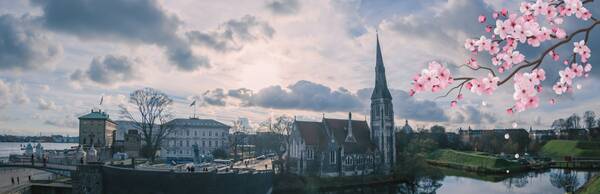 Sakura in Copenhagen: A Mindfulness Walk along Langelinie Pavilion