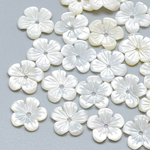 Natural White Shell Beads