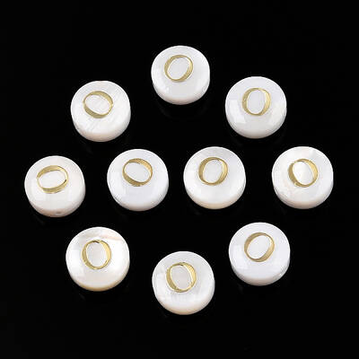 Natural Freshwater Shell Beads
