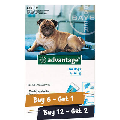 Advantage Medium Dogs 11-20lbs (Aqua) 12 Doses + 2 Free