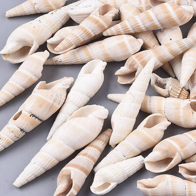 Natural Spiral Shell Beads