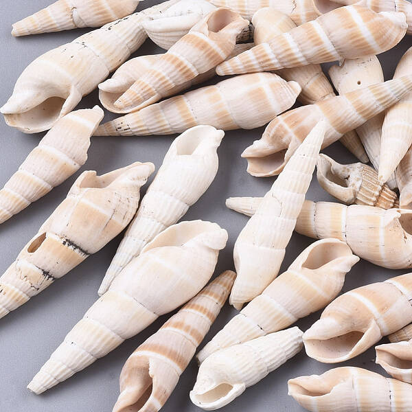 Natural Spiral Shell Beads