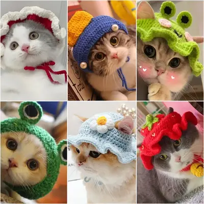 Refined Dog and Cat Hat - Cute Knitted Pet Hat for Dogs, Cats and Kittens 2.5-7.5kg - Elastic Design - Ideal for Cat Party an...