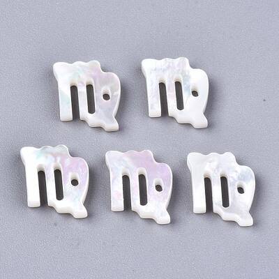Natural White Shell Beads