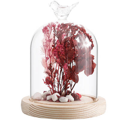 1Pc Glass Dome Cover