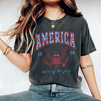 Comfort Colors USA T-shirt, Summer BBQ Tee, Red White And Blue, America Tee, Women's 4th Of July, Fourth Of July Tee, 1776