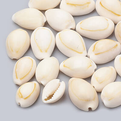 Cowrie Shell Beads