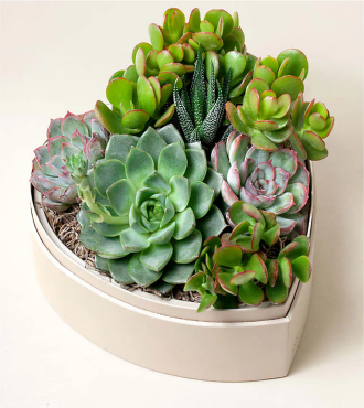 Lula's Heart Garden - FedEx