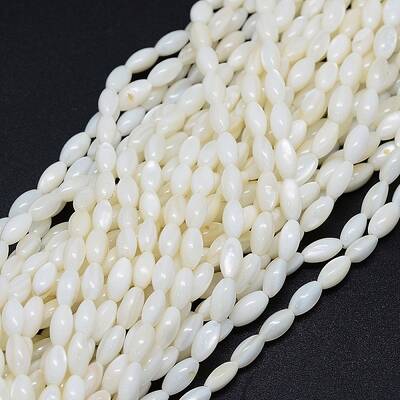 Dyed Natural Shell Beads Strands