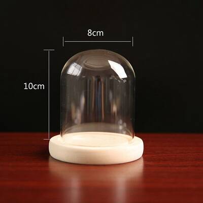 Glass Dome Cover