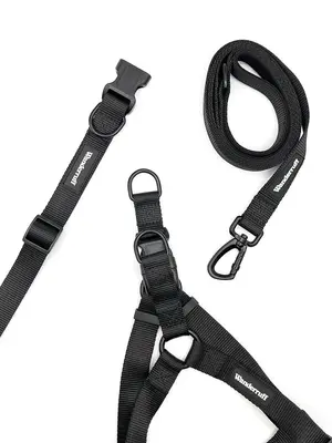 Samson Walk Kit | Collar Size: M | Harness Size: S | Leash Width: S (0.75')