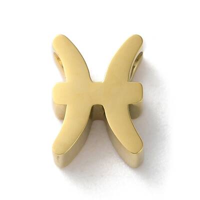Constellation 304 Stainless Steel Charms