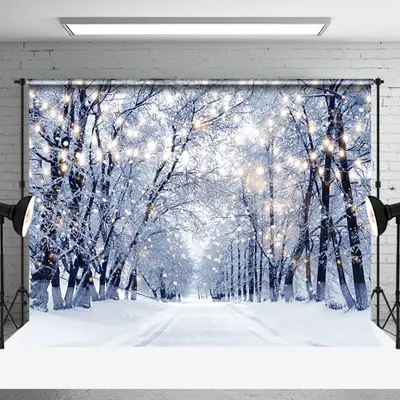 Aperturee Lights Flashing Winter Snowy Nature Forest Backdrop