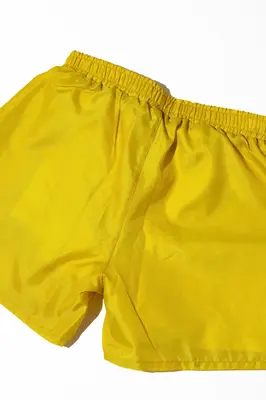 Cathedral Swim Shorts | Size: Medium