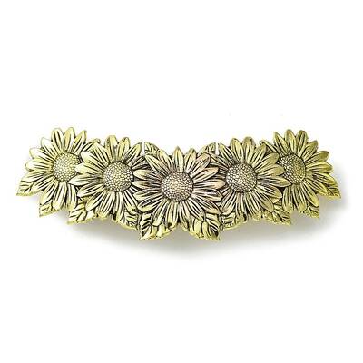 Alloy Hair Barrettes