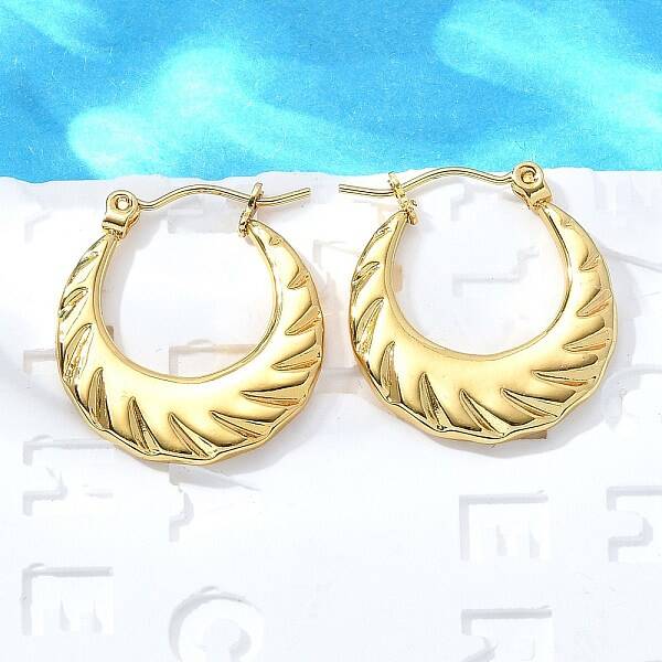 304 Stainless Steel Hoop Earrings for Women
