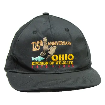 HEAD TO TOE Mens Snapback Cap Black ONE SIZE