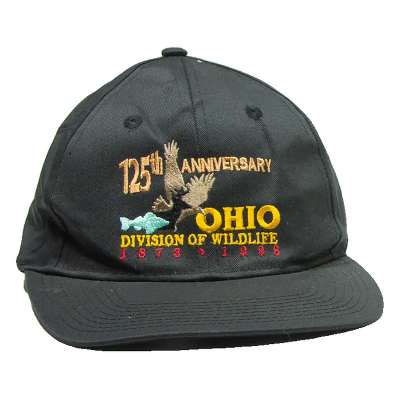 HEAD TO TOE Mens Snapback Cap Black ONE SIZE