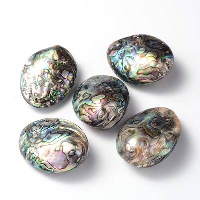 Oval Natural Paua Shell Beads
