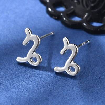 S925 Sterling Silver Stud Earrings