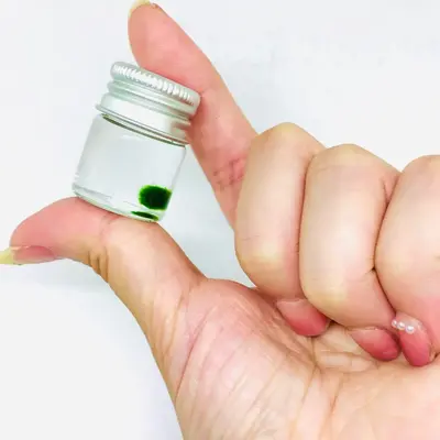 Live Marimo Moss Ball Super Mini Plant Bottle Jar Gift For Kids Instruction included Decor Decorative Ornaments pebbles aquar...