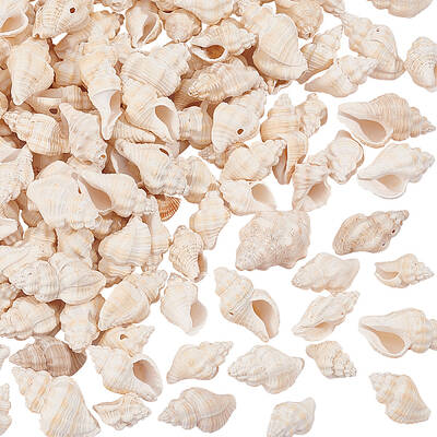 Natural Spiral Shell Beads
