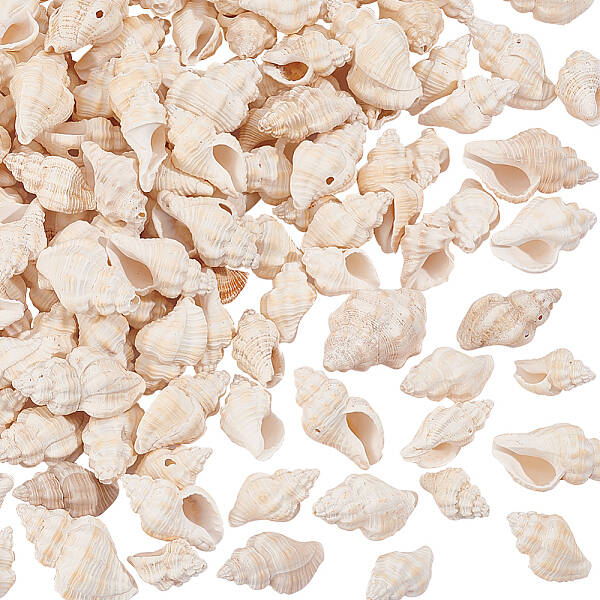 Natural Spiral Shell Beads