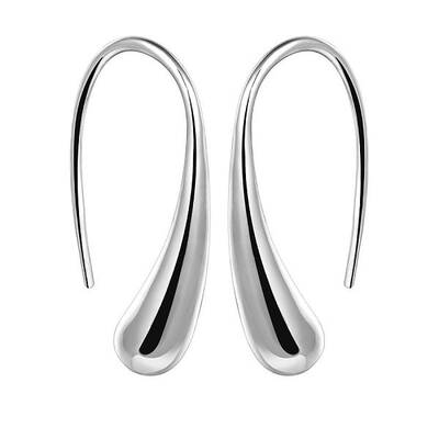 Silver Color Plated Brass Dangle Earrings