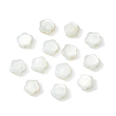 30Pcs Natural Freshwater Shell Beads